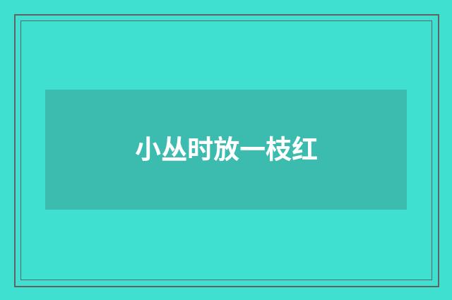 小丛时放一枝红