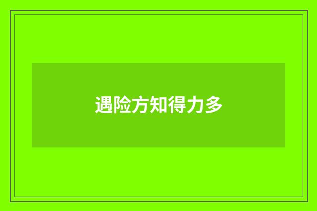 遇险方知得力多