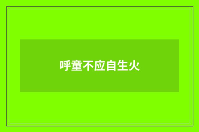 呼童不应自生火