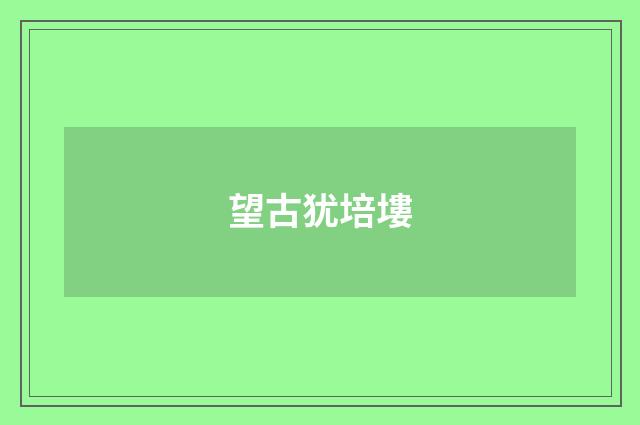 望古犹培塿