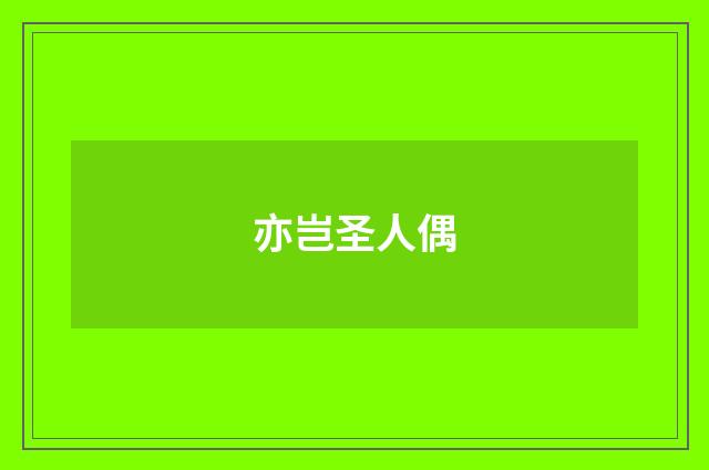 亦岂圣人偶