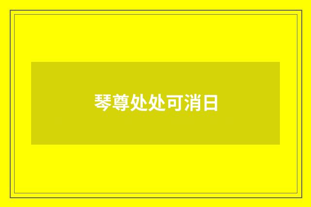琴尊处处可消日