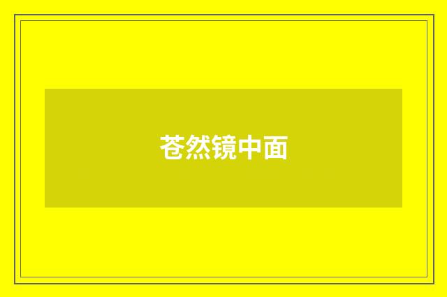 苍然镜中面