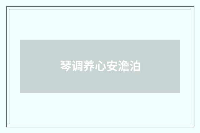 琴调养心安澹泊