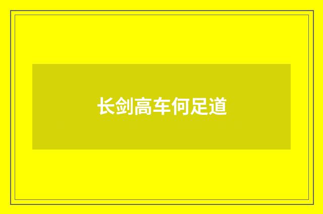 长剑高车何足道