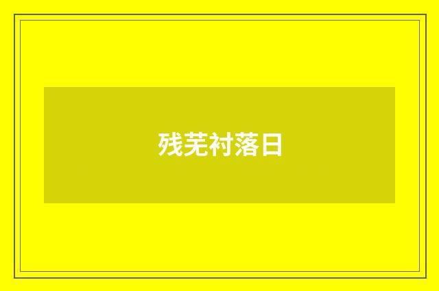 残芜衬落日