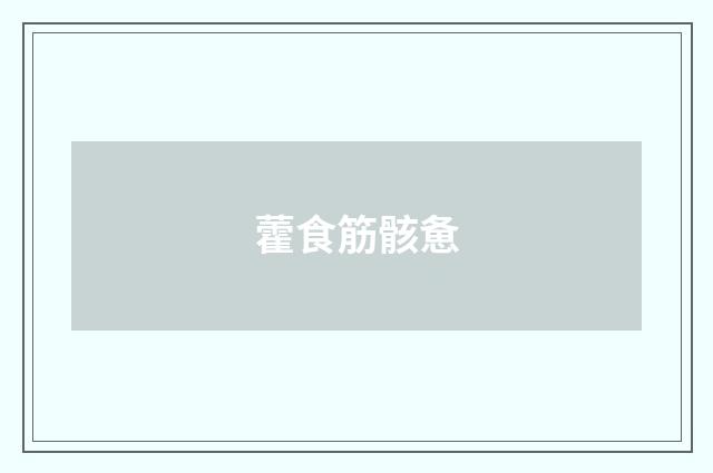 藿食筋骸惫