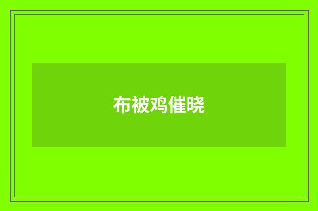布被鸡催晓