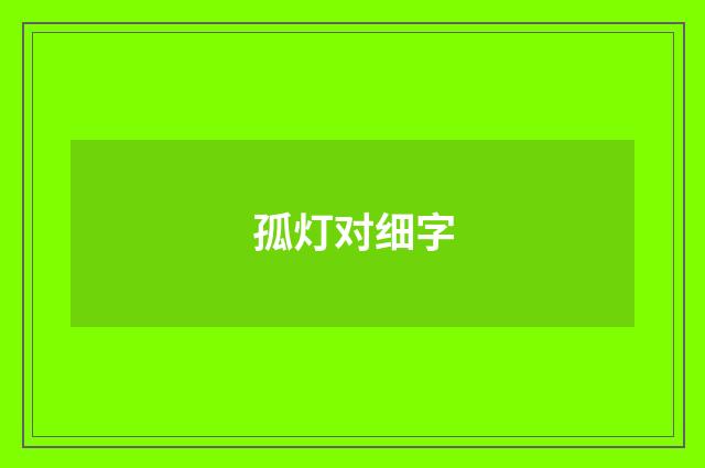 孤灯对细字