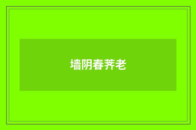 墙阴春荠老