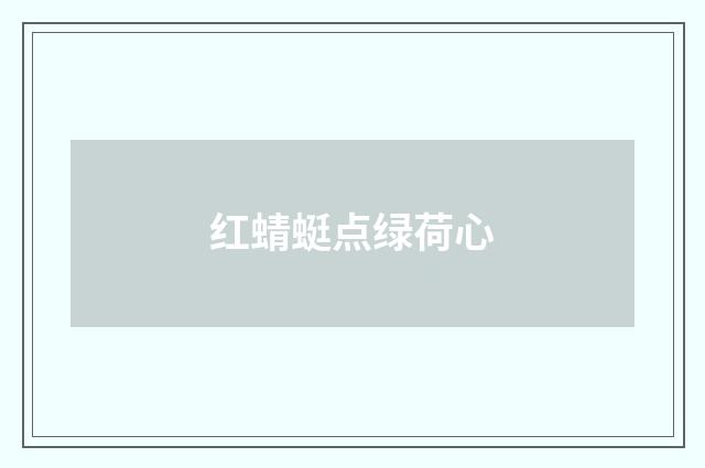 红蜻蜓点绿荷心