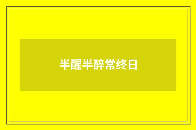 半醒半醉常终日