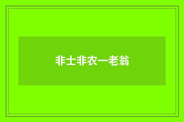 非士非农一老翁