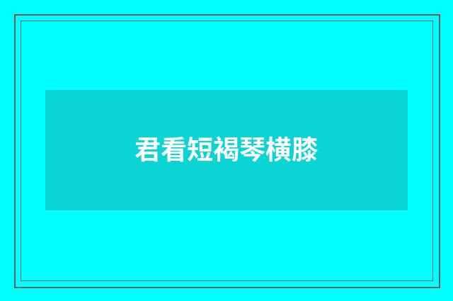 君看短褐琴横膝