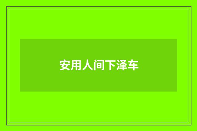安用人间下泽车