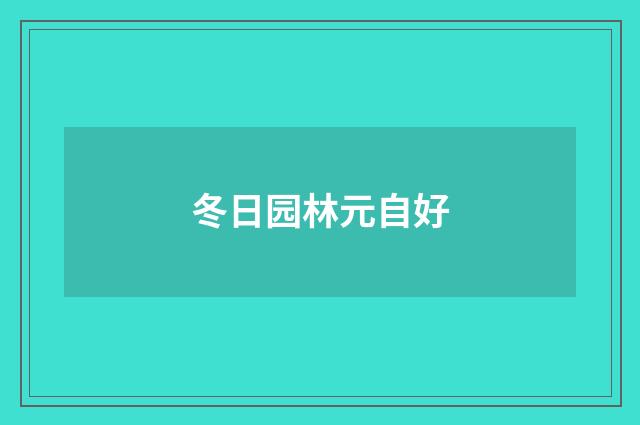 冬日园林元自好
