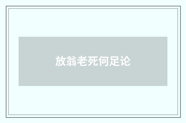 放翁老死何足论