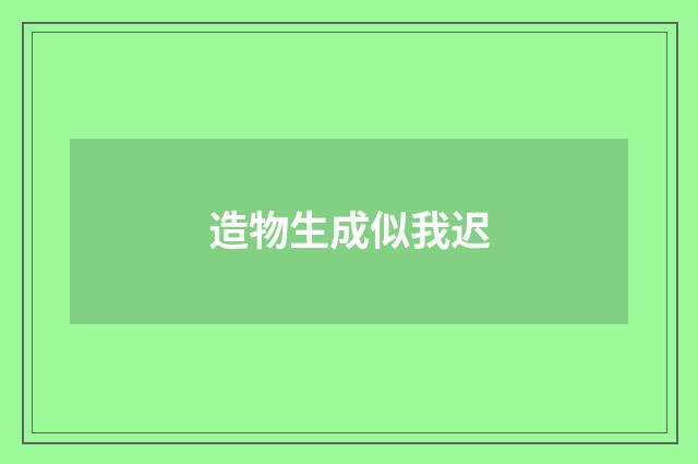 造物生成似我迟