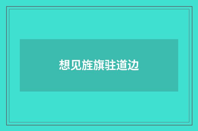 想见旌旗驻道边