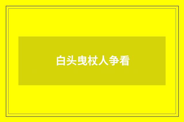 白头曳杖人争看