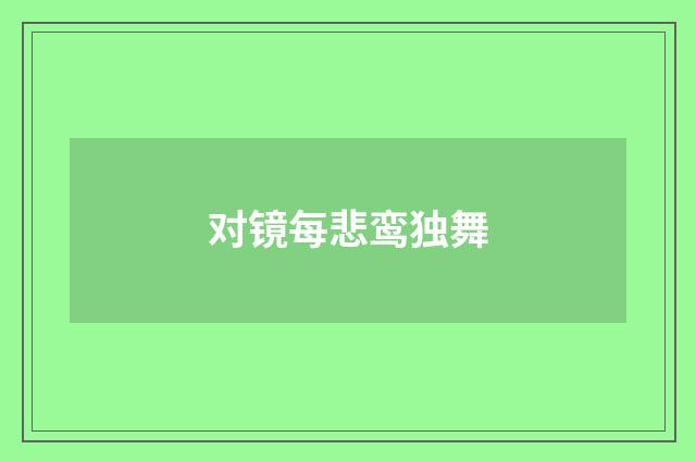 对镜每悲鸾独舞