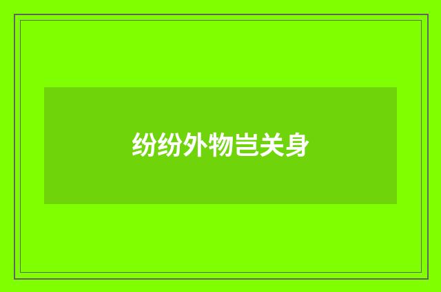 纷纷外物岂关身