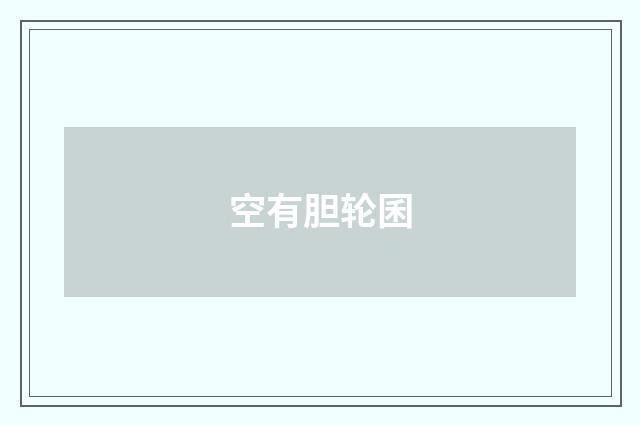 空有胆轮囷