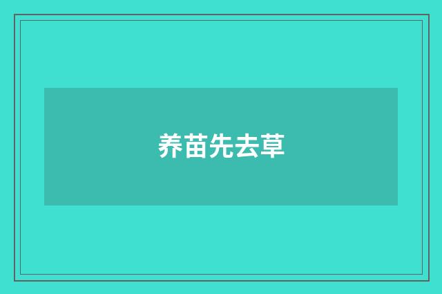 养苗先去草