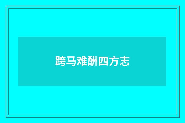 跨马难酬四方志