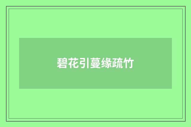 碧花引蔓缘疏竹