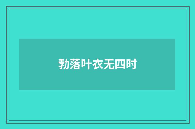 勃落叶衣无四时