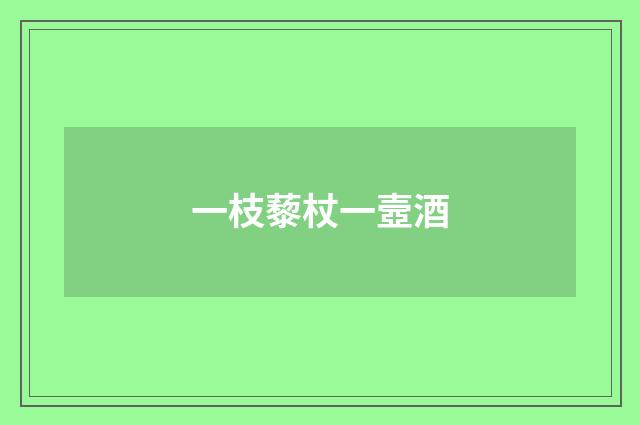 一枝藜杖一壼酒