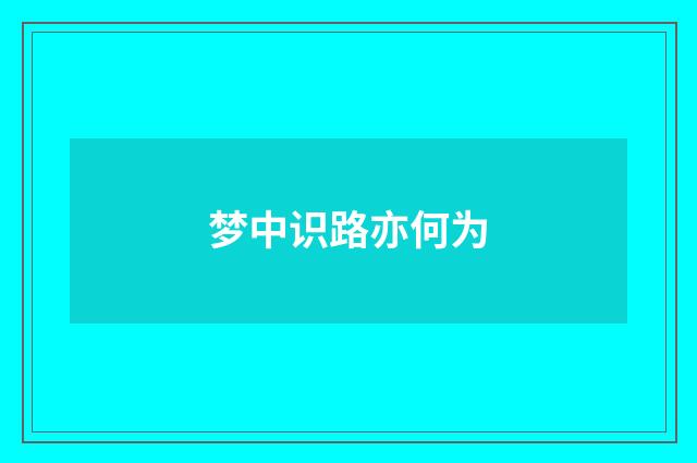 梦中识路亦何为