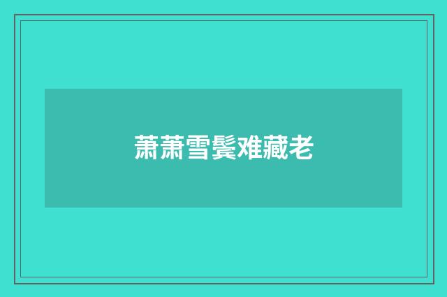 萧萧雪鬓难藏老