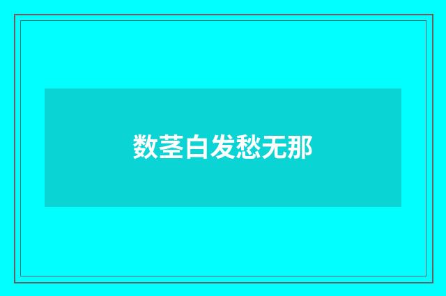数茎白发愁无那