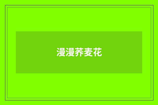漫漫荞麦花