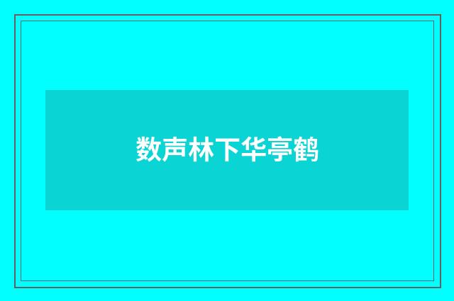 数声林下华亭鹤
