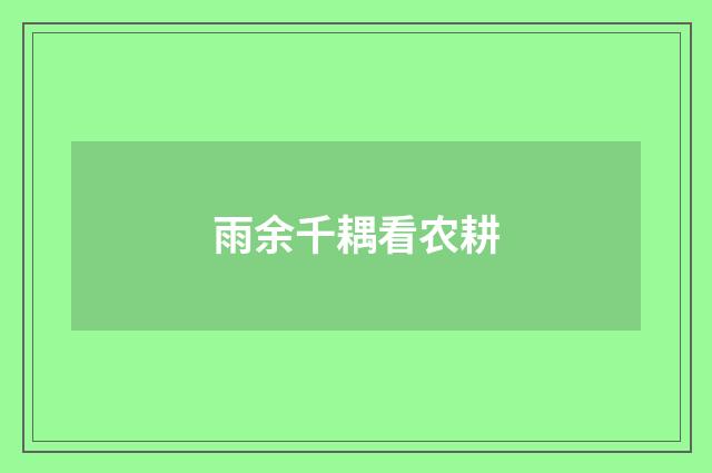 雨余千耦看农耕