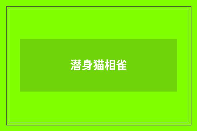 潜身猫相雀