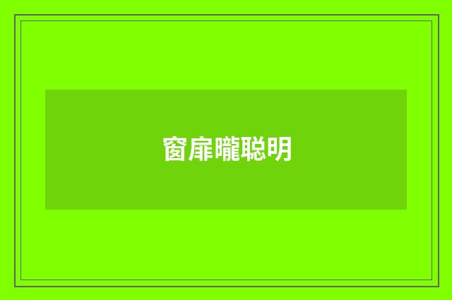 窗扉曨聪明