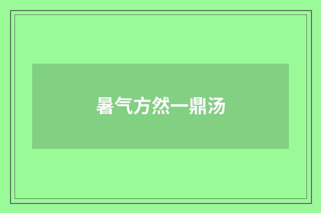 暑气方然一鼎汤