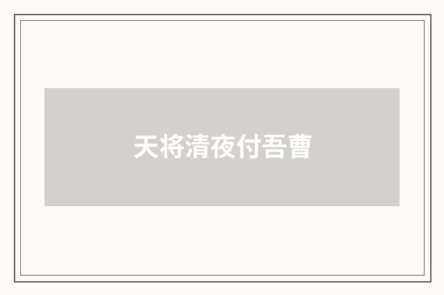 天将清夜付吾曹