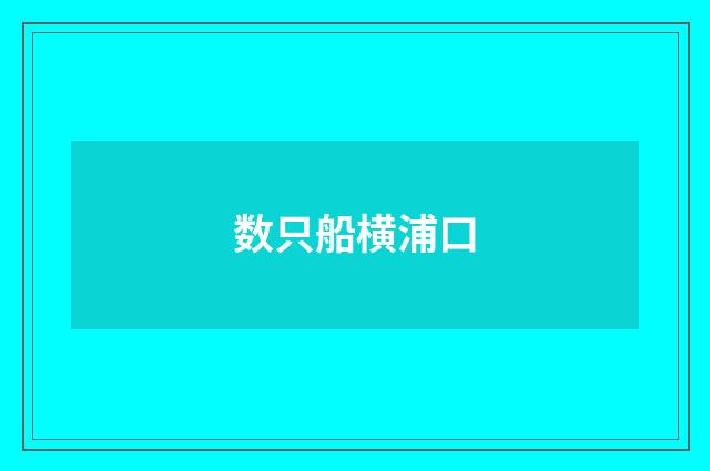 数只船横浦口