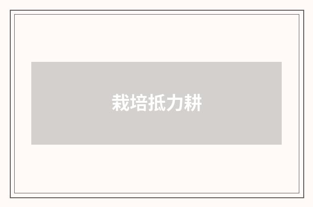 栽培抵力耕