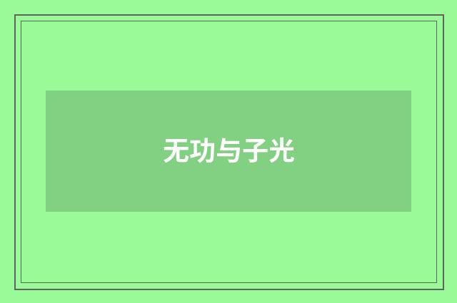 无功与子光