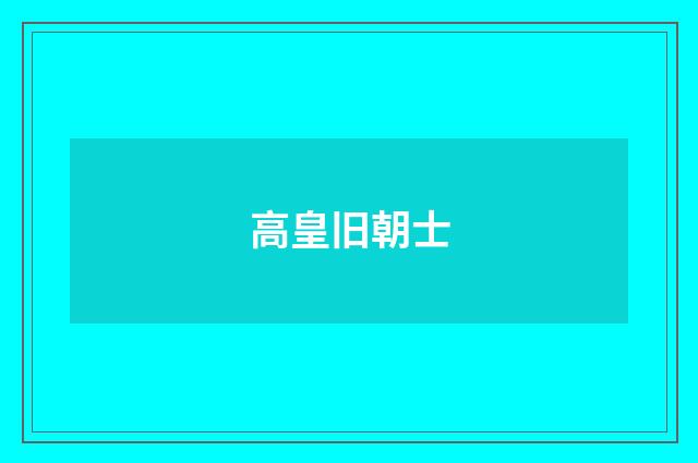 高皇旧朝士
