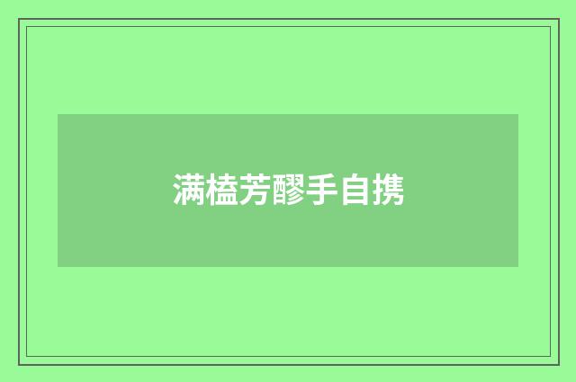 满榼芳醪手自携
