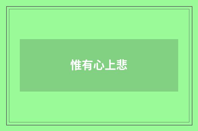 惟有心上悲