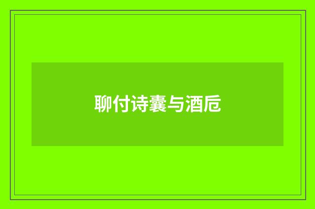 聊付诗囊与酒卮