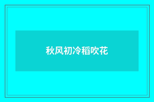 秋风初冷稻吹花